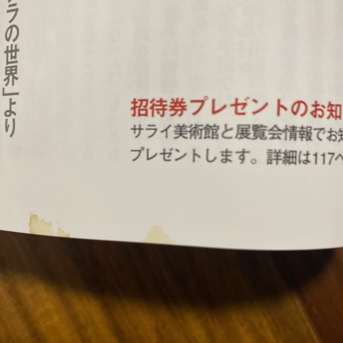 サライ ２０２４年５月号 （小学館）少し汚れ有　管理番号A1791_画像6