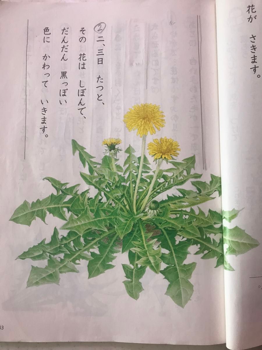 光村図書 国語 上下 小学校用 教科書②　2年生