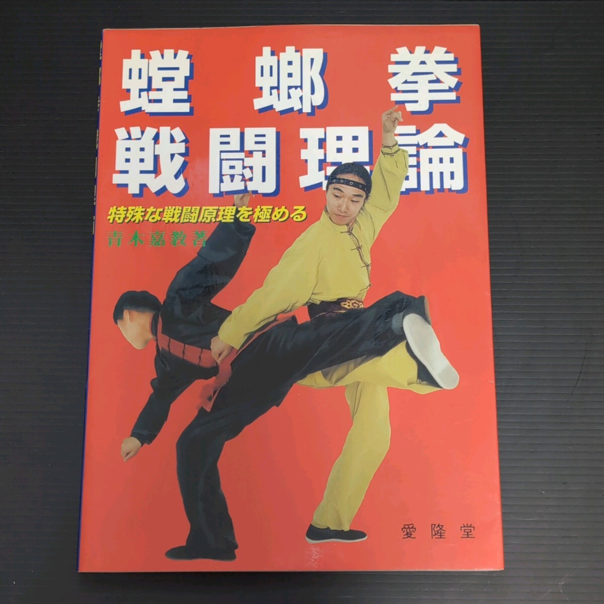 【３冊セット】螳螂拳戦闘理論/中国拳法五獣拳/少林拳戦闘理論 青木 嘉教_画像3