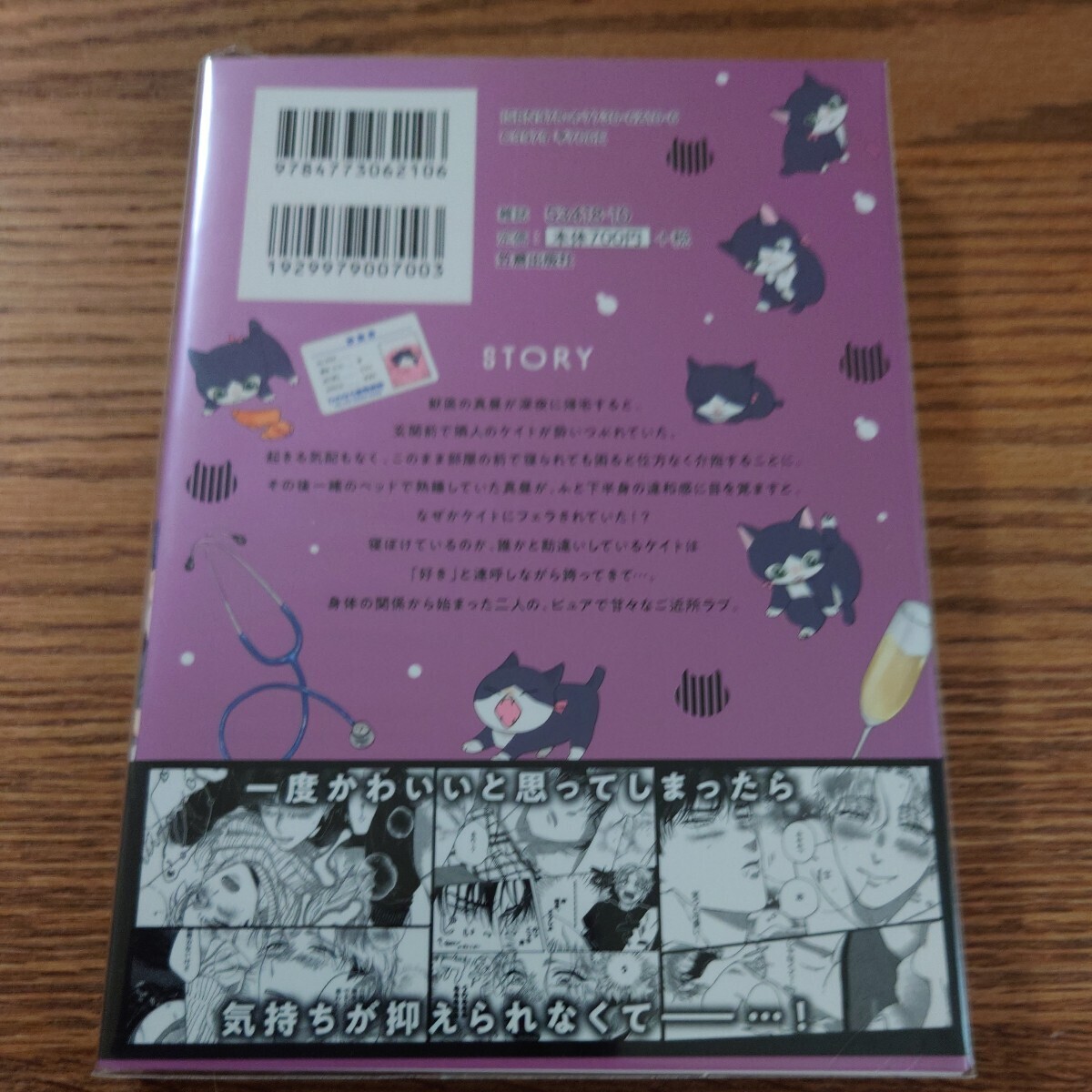 美品☆猫にまたたび俺にはあなた/ずつうやく/BL 漫画/コミコミ特典リーフレット ペーパー☆4冊同梱可能!!_画像2