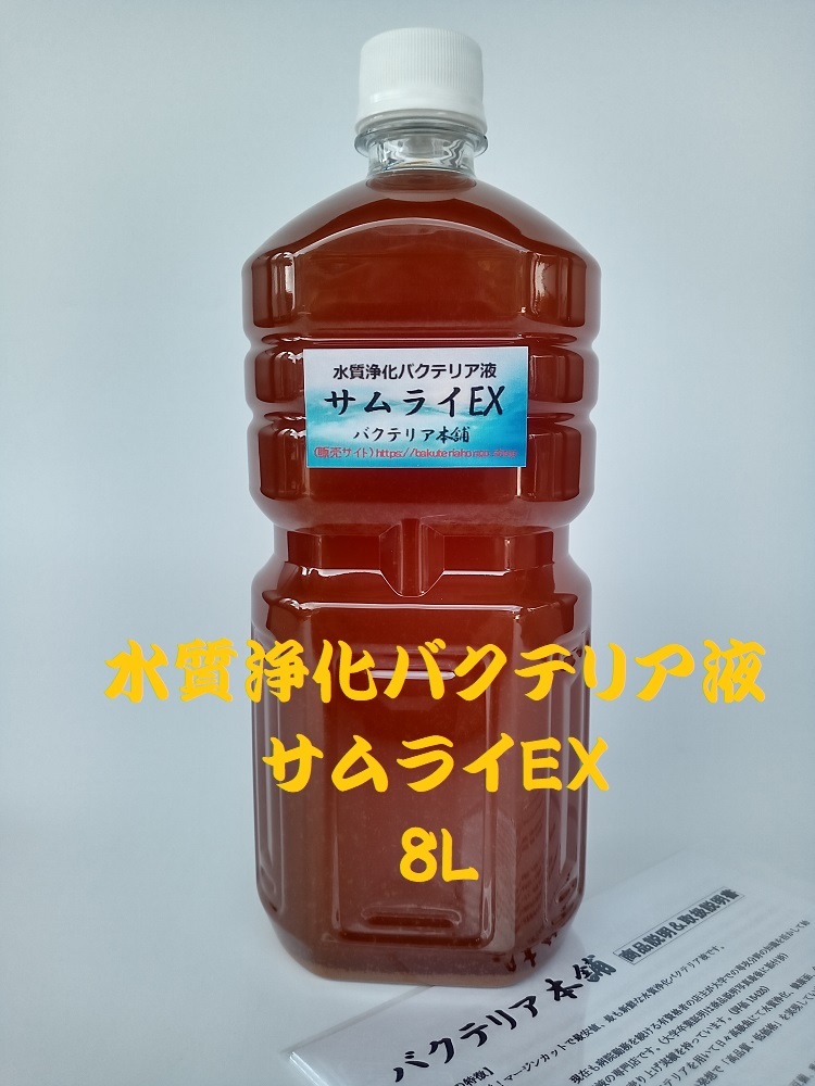 【バクテリア本舗 製造元】サムライEX [8L]高濃度水質浄化バクテリア液(らんちゅう,めだか,グッピー,金魚,錦鯉,シュリンプ,熱帯魚,海水魚）_画像1