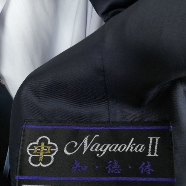 1 иен блейзер проверка юбка галстук верх и низ 4 позиций комплект указание BLL большой размер очень большой зима предмет женщина Kyoto Nagaoka второй средний . темно-синий б/у разряд C NA5542