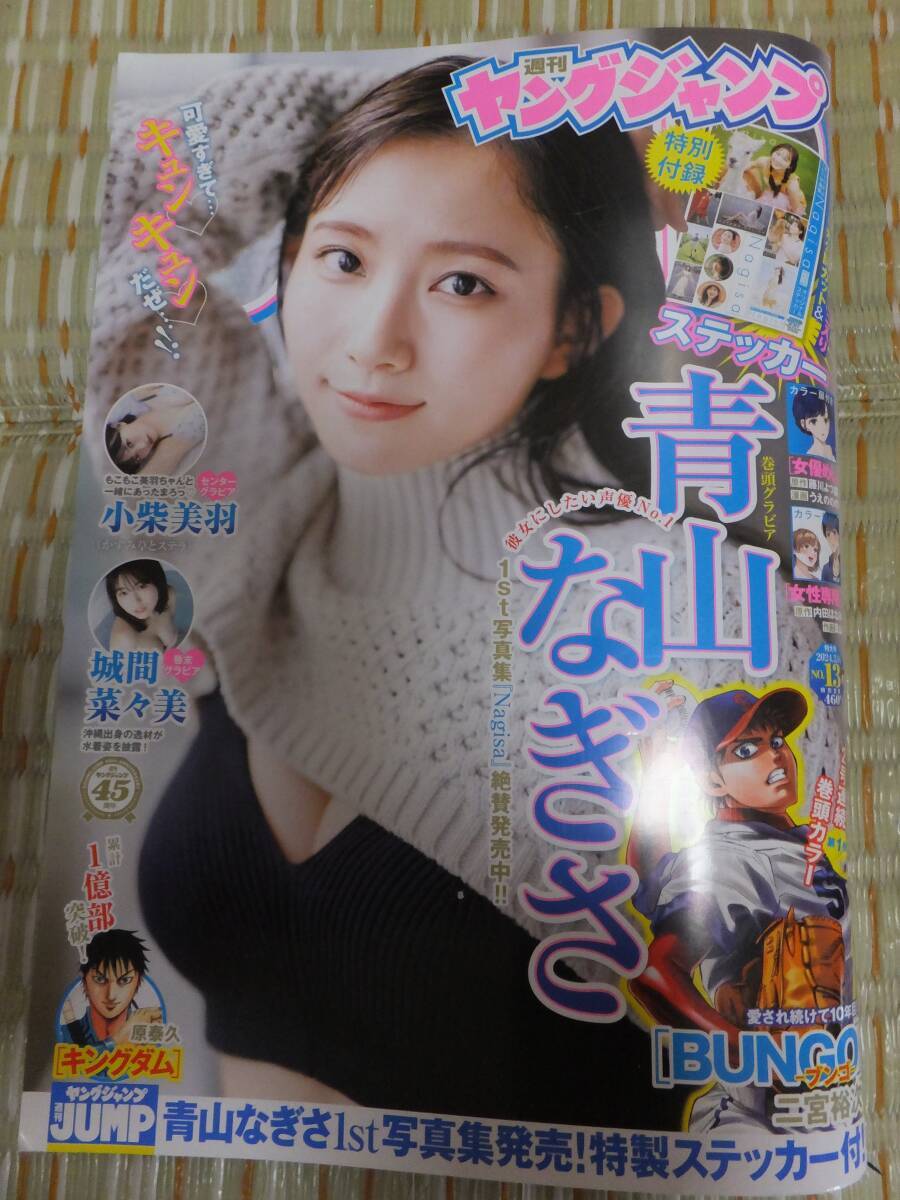 週刊ヤングジャンプ No.13特大号 2024年3月14日発行 青山なぎさ 小柴美羽 城間菜々美_画像1