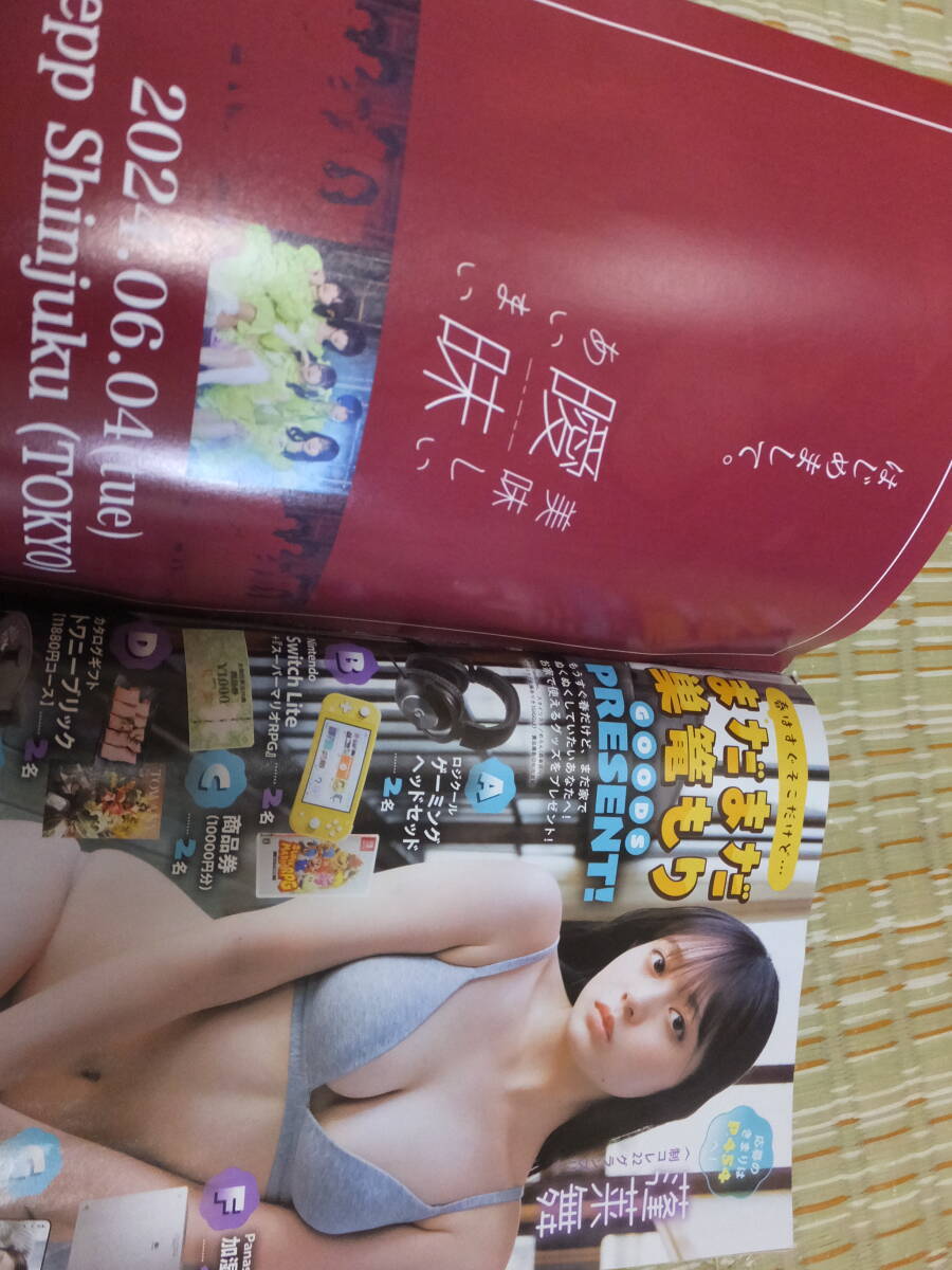 週刊ヤングジャンプ No.13特大号 2024年3月14日発行 青山なぎさ 小柴美羽 城間菜々美_画像6