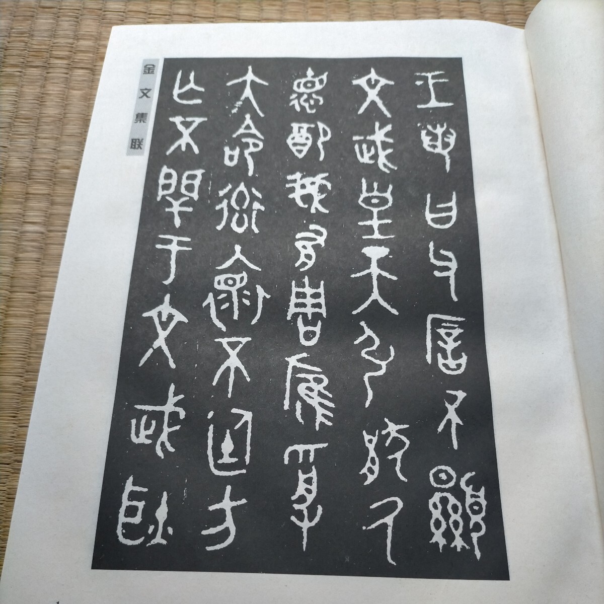 大陸本　中華書局「金文集聯」1998年_画像5