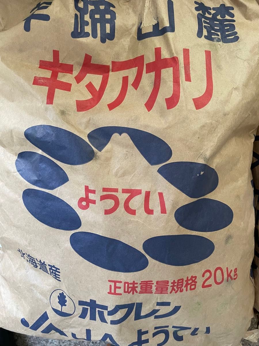 【超お買い得品】北海道 JA 羊蹄 じゃがいも キタアカリ サイズM 約10kg