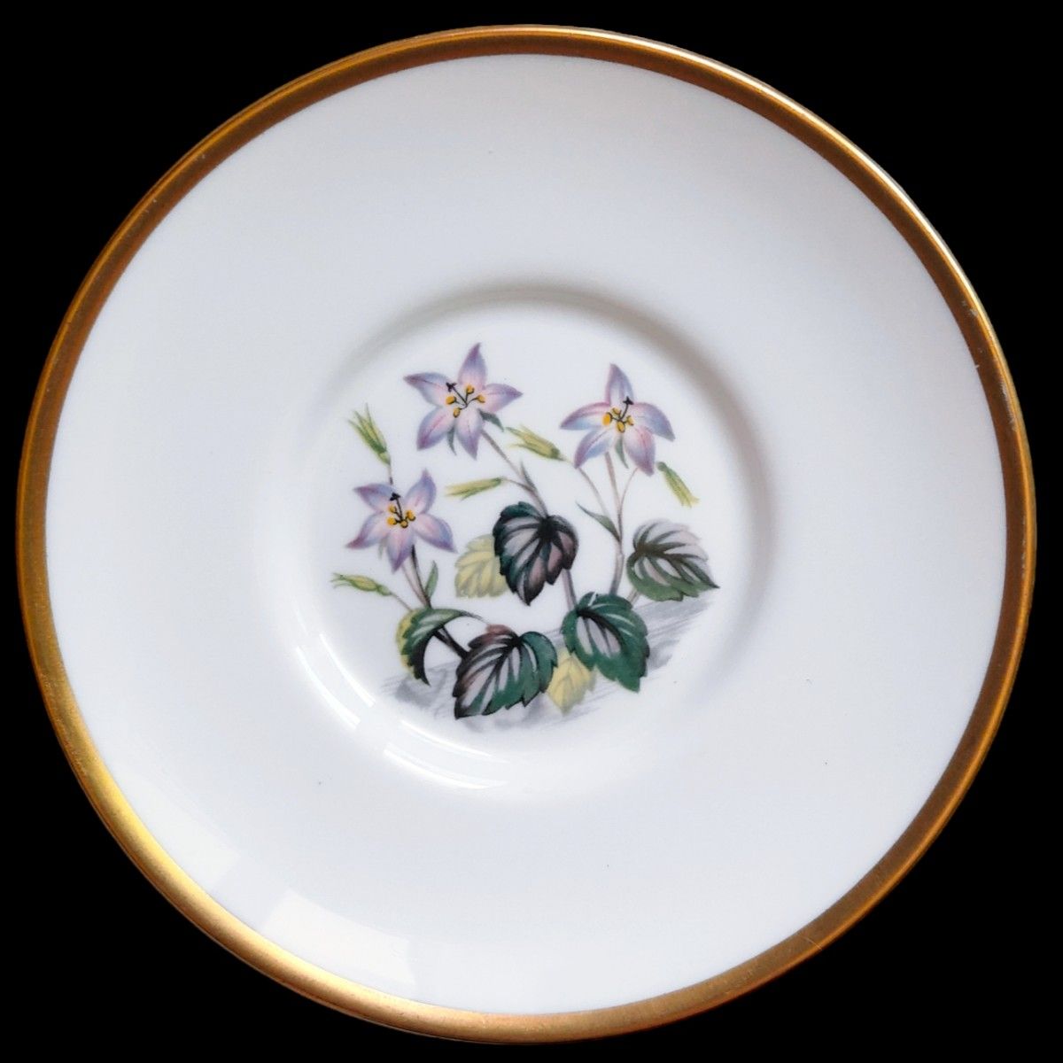 美品 ロイヤルウースター アルプス 高山植物 金彩 デミタス 美品 ロイヤルウースター アルプス 高山植物 金彩 デミタス