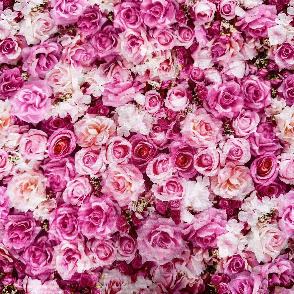 薔薇柄⑨ レア　実物が綺麗　ローズ　コットン生地 幅約110×90cm