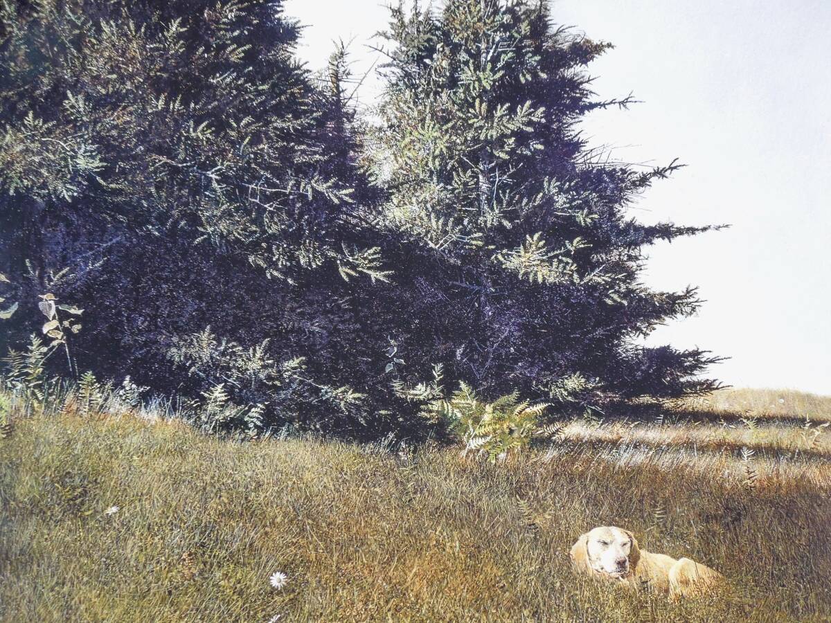 レア　アンドリュー・ワイエス　遠雷　限定版　2016年回顧展　写実主義　雷鳴　Andrew Wyeth　アメリカ　巨匠　代表作　ダリ　ミロ