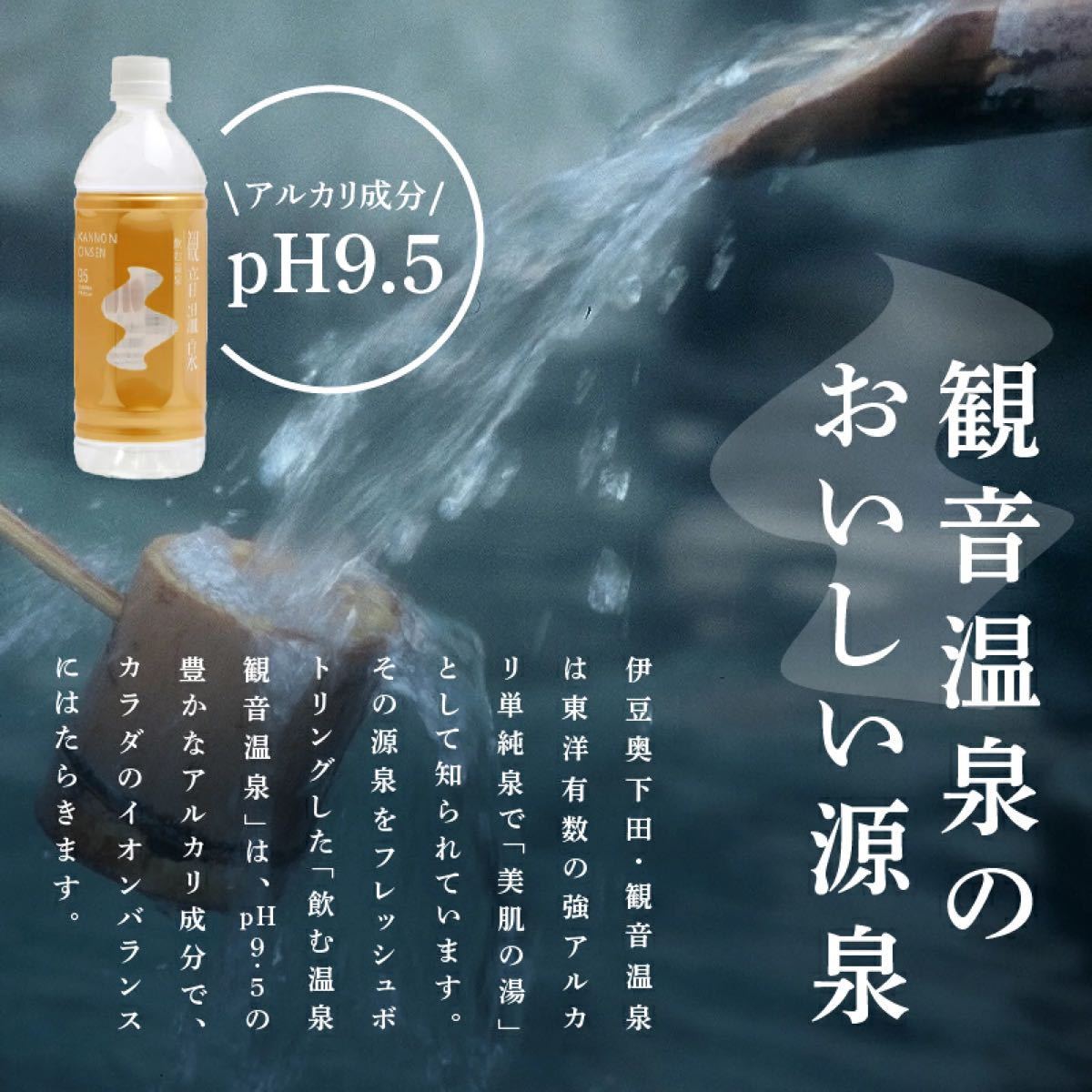 観音温泉水　500ml × 24本（1ケース） / 飲む温泉 / ミネラルウォーター　賞味期限2027.01_画像4