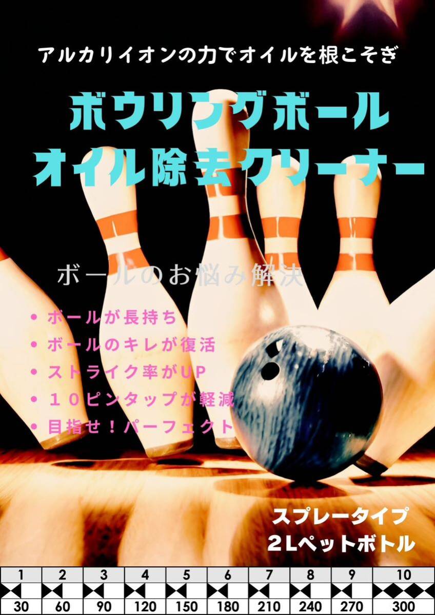 オイル除去性能UP 【単品販売】【送料込み】アルカリイオンパワー！オイル除去ボールクリーナー スプレータイプ　Ver.10 #1273_画像1