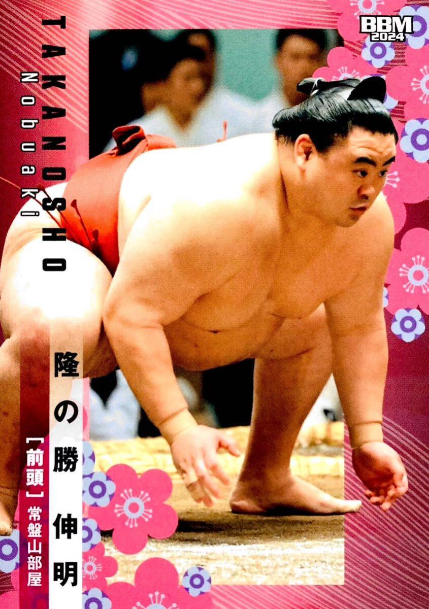 隆の勝 伸明 前頭 レギュラーカード No.21 BBM 2024 大相撲カード 常盤山部屋_画像1