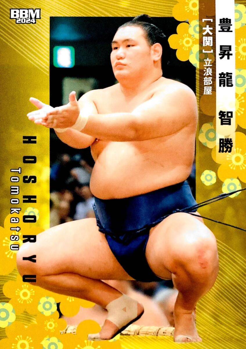 豊昇龍 智勝 大関 レギュラーカード No.04 BBM 2024 大相撲カード 立浪部屋_画像1