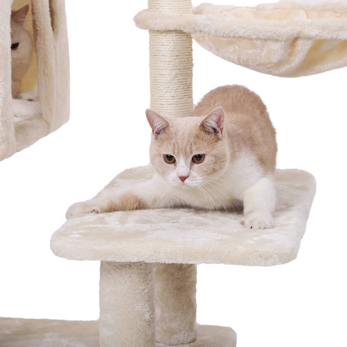 子猫やシニア猫におすすめの低めの段差付きキャットタワー