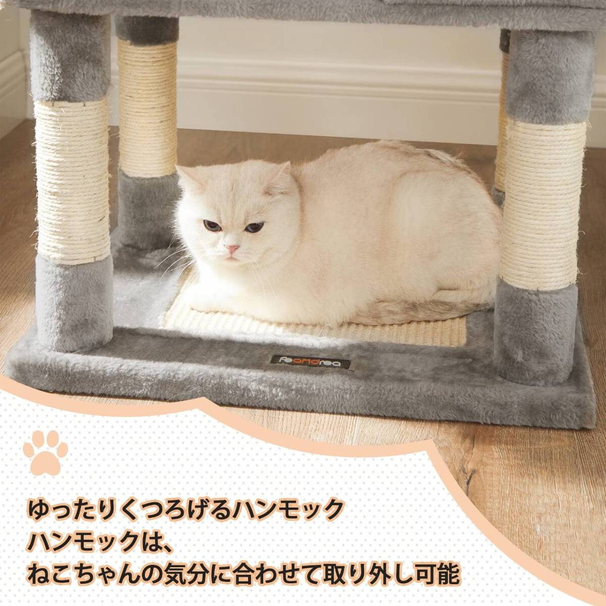  large cat .OK. for interior cat tower, hammock attaching 