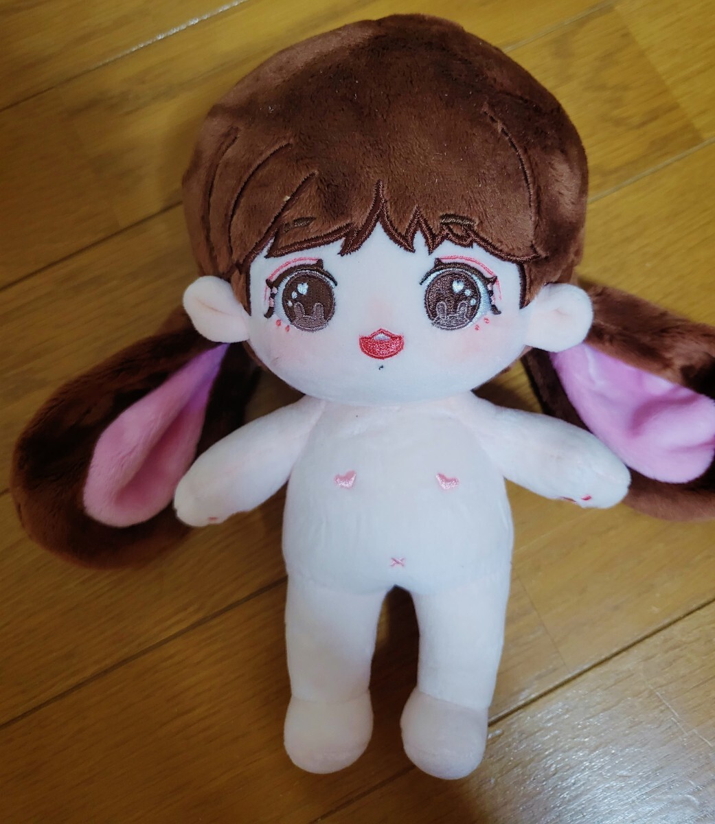 レア 防弾少年団 BTS グク 20cm ぬいぐるみ ジョングク 着せ替えぬいぐるみ JK ぬい ぬい活 マスター マスタニム 垂れ耳 うさぎ 兎 ②_画像2