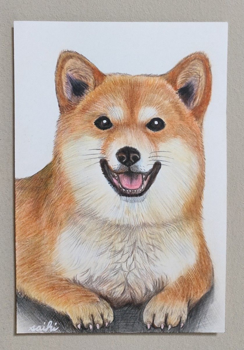 柴犬色鉛筆画ハガキサイズ|Yahoo!フリマ(旧PayPayフリマ) 柴犬色鉛筆画ハガキサイズ|Yahoo!フリマ(旧PayPayフリマ)