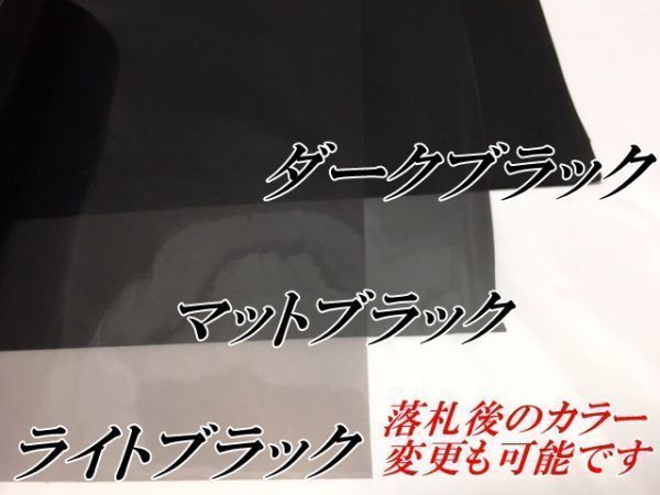 送料無料！アイライン、アイチーク作成　デイライトカラー変更　レンズフィルム≪マットブラック≫　スモーク_画像2