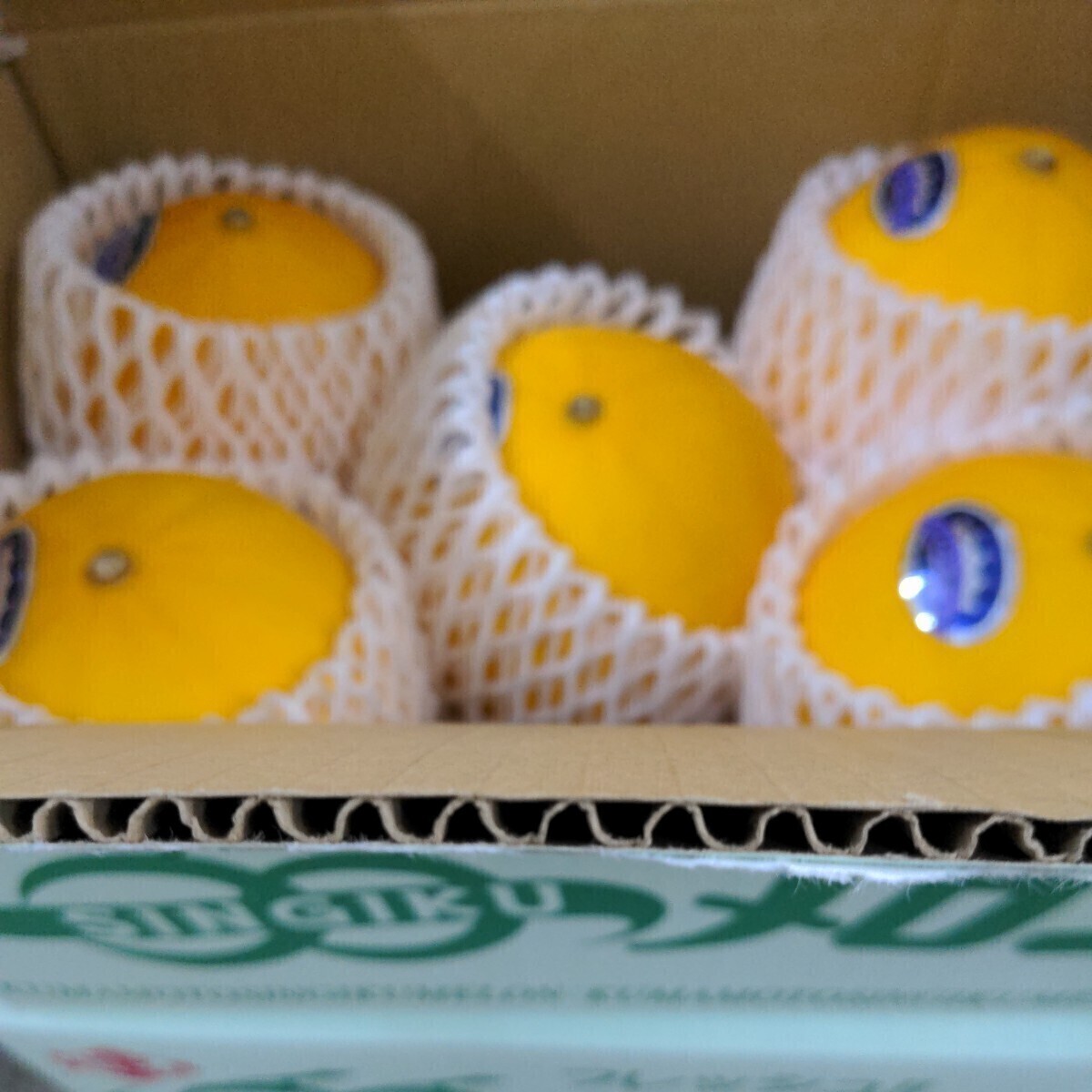  Kumamoto prefecture production [ yellow King melon ]4 sphere ~5 sphere entering 