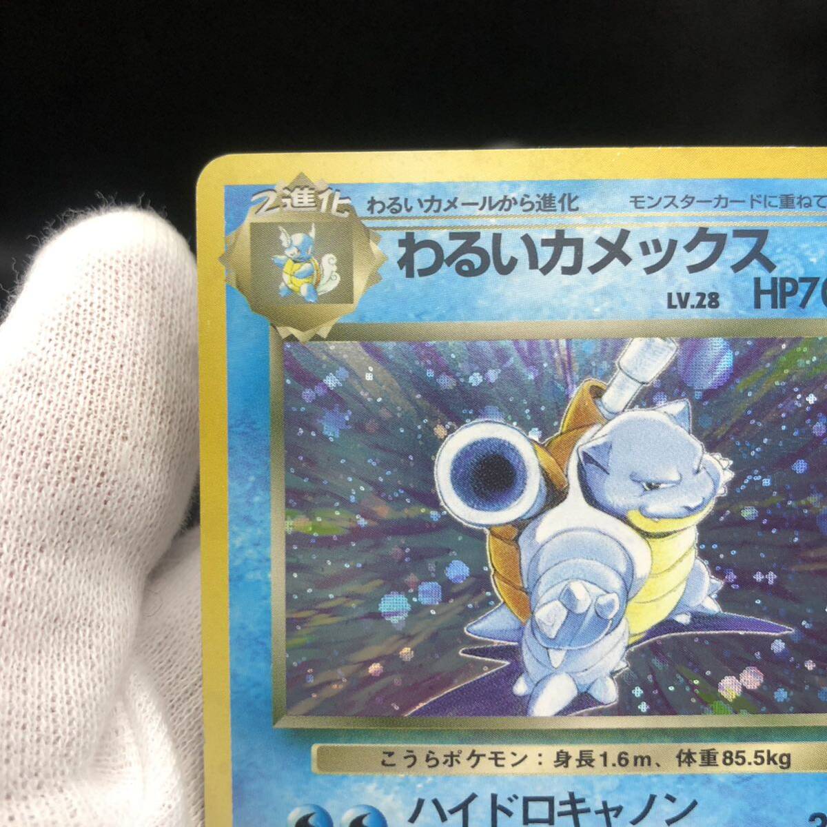 ポケモンカード 旧裏 旧裏面 わるいカメックス(シングルカード ポケモンカード 旧裏 旧裏面 わるいカメックス(シングルカード