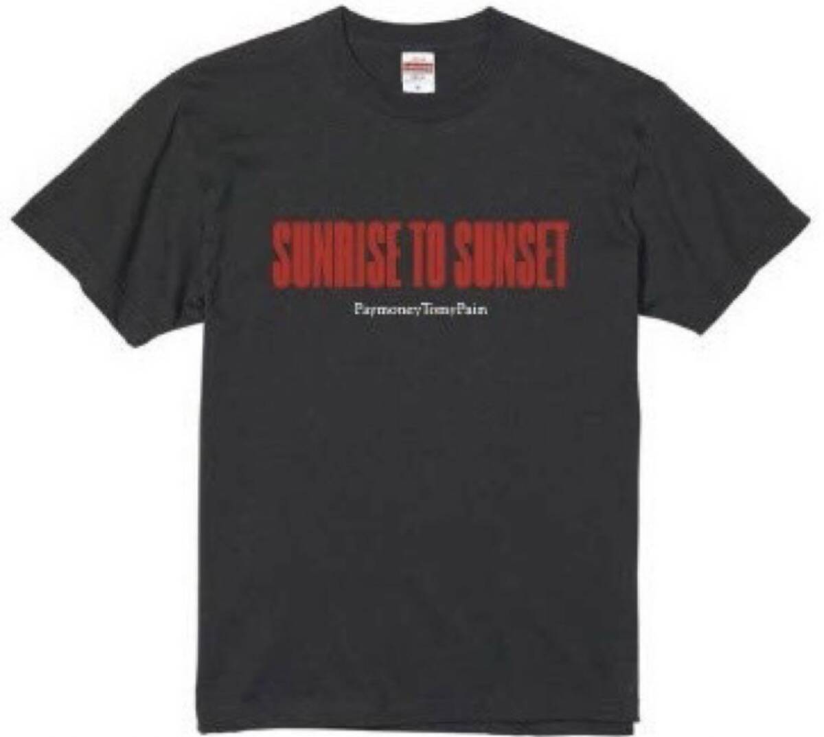 SUNRISE TO SUNSET ピンバッジ & Tシャツ Lサイズ/ pay money to my pain