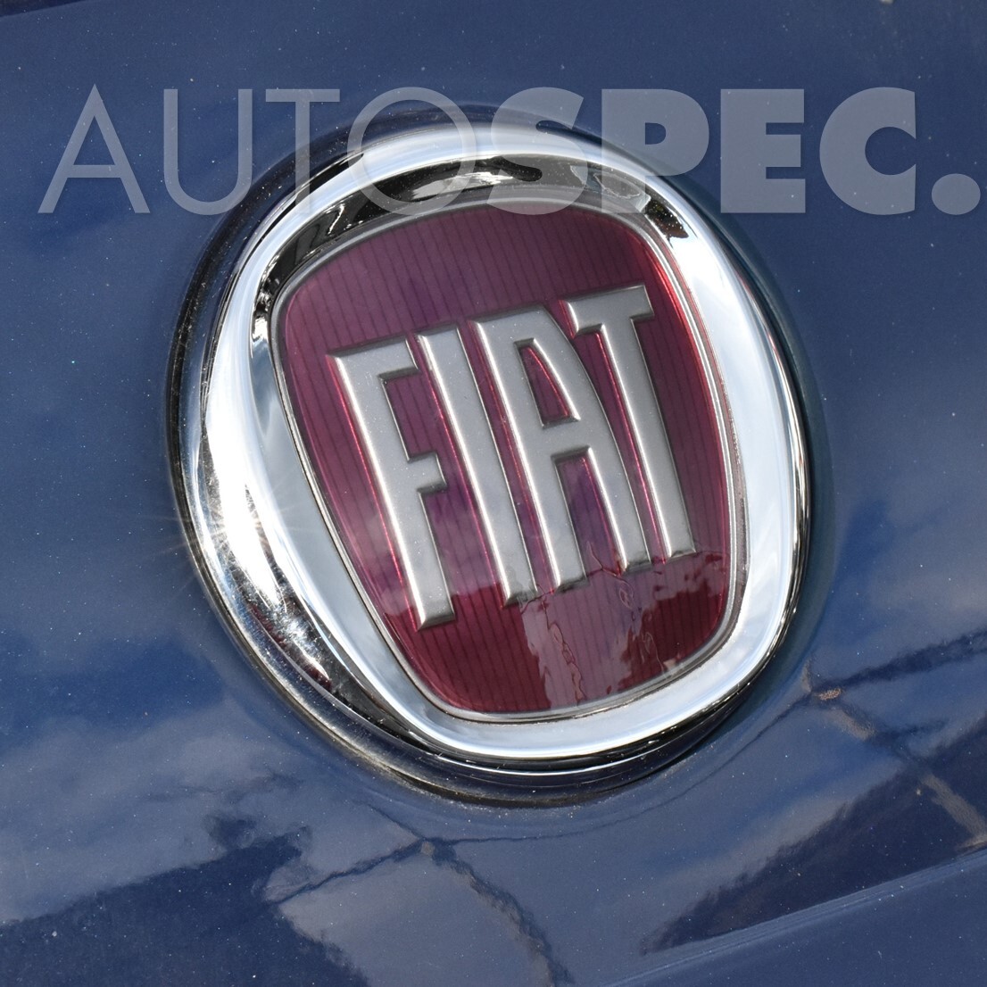 FIAT 500　エンブレム プロテクション フィルム　スモーク　1台分　フィアット　シリーズ4　後期　全国一律送料_画像4