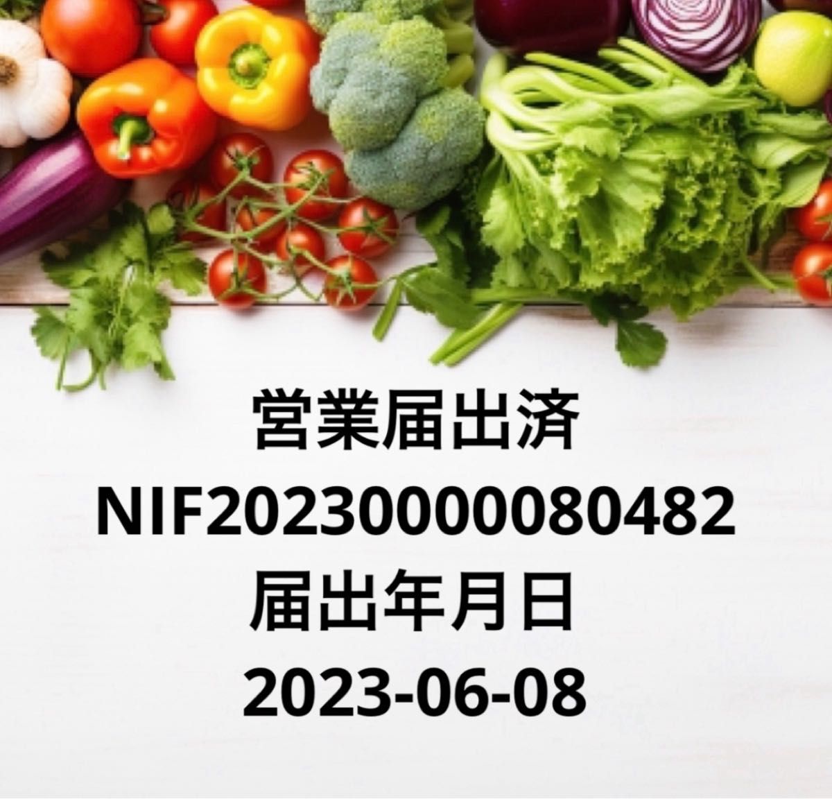 10種類の乾燥野菜　時短料理　100g×2袋