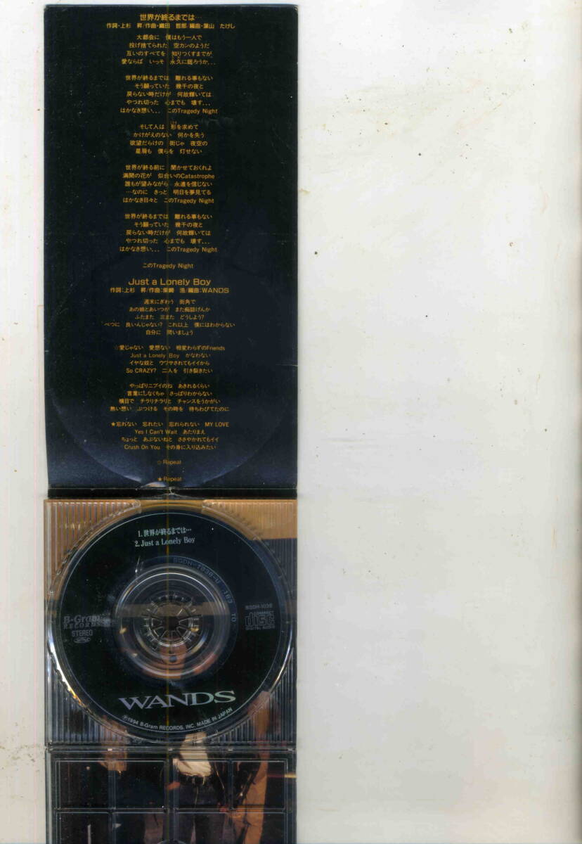 「世界が終わるまでは・‥」WANDS CDの画像3