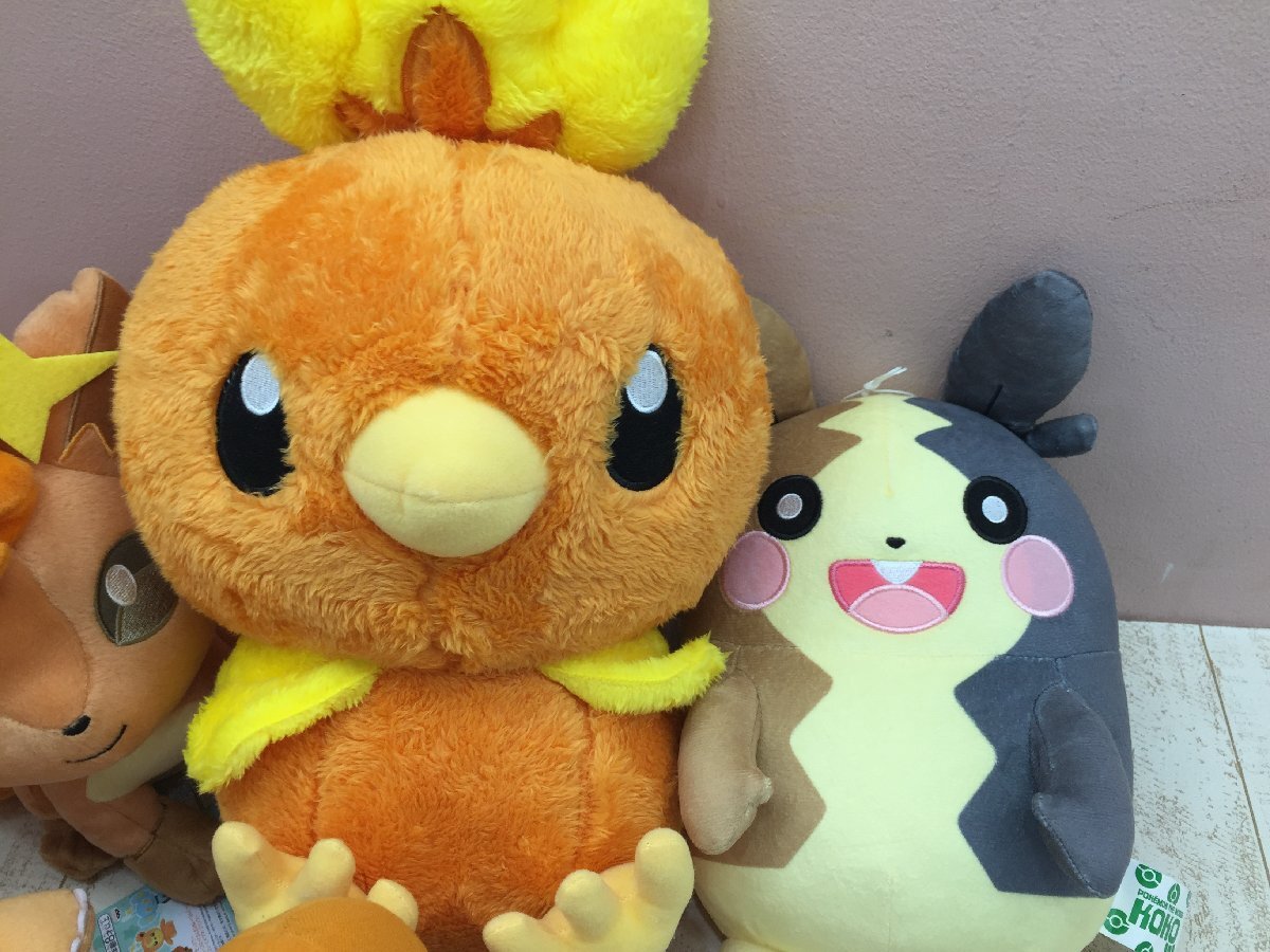 ◇ポケモン ピカチュウ ロコン ヒトカゲ アチャモ ほか ぬいぐるみ 7点 6P192 【大型】_画像2