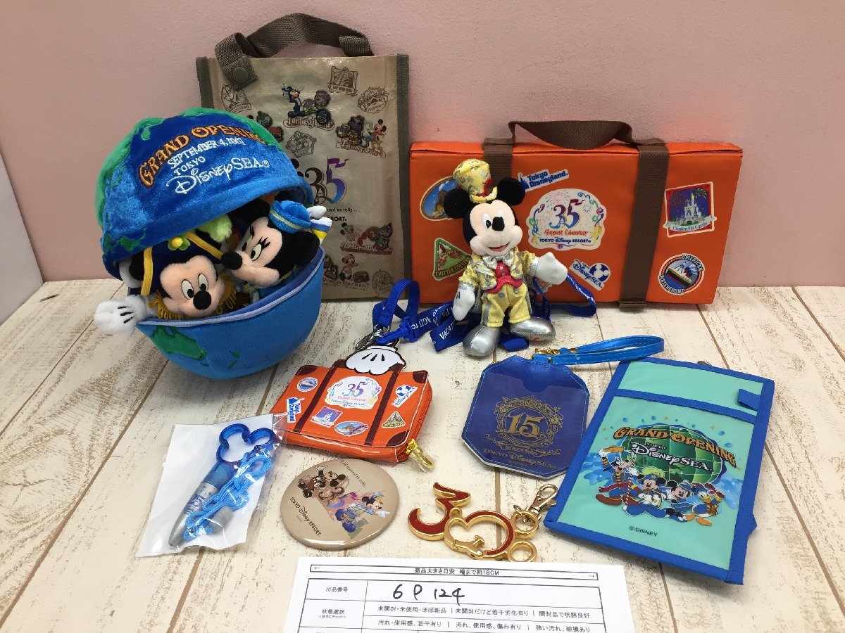 ◇ディズニー 《大量セット》《未開封品あり》周年グッズ 10点 30周年 35周年 ぬいぐるみバッジ キーチェーン他 6P124 【80】_画像6