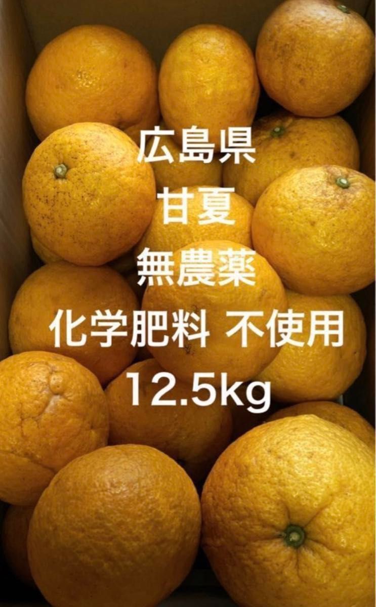 広島県 瀬戸内 無農薬 農薬不使用 家庭用 甘夏 甘夏みかん 柑橘 広島県産 約12.5kg 見た目 訳あり あまなつ