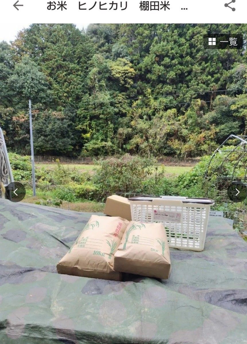 ラベンダーさまお問い合せ分　お米 ひのひかり　愛媛県内子町産　無農薬有機栽培