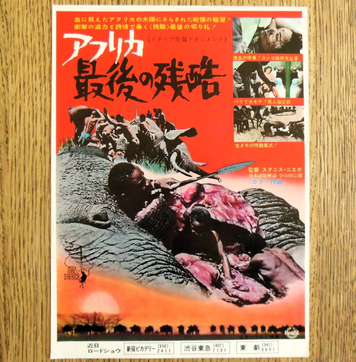 『アフリカ最後の残酷』ドキュメンタリー映画チラシ 1968年 フライヤー ちらし_表側