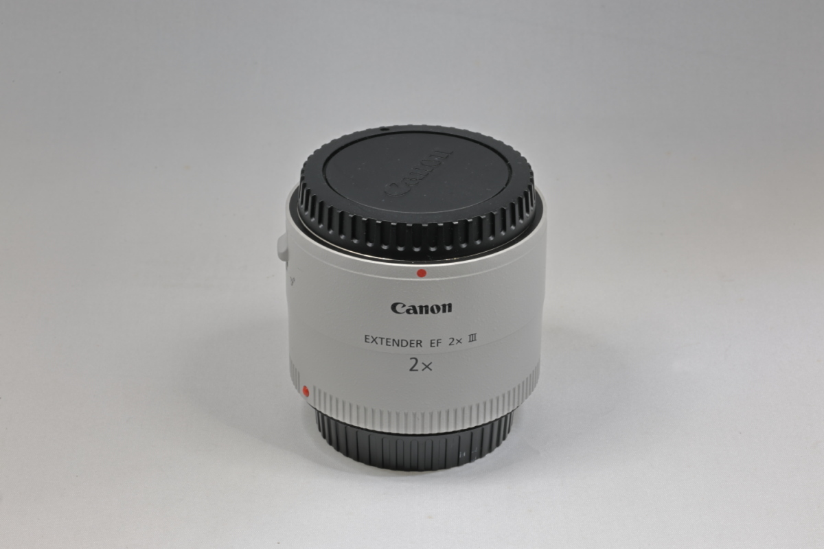 【送料無料】キヤノン エクステンダー Canon Extender EF 2x IIIの画像1