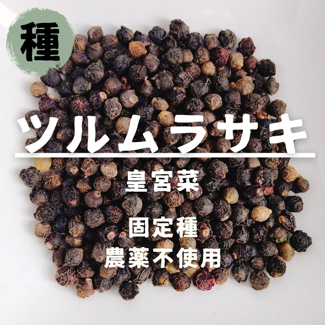 【種】ツルムラサキ　皇宮菜　無農薬　70粒