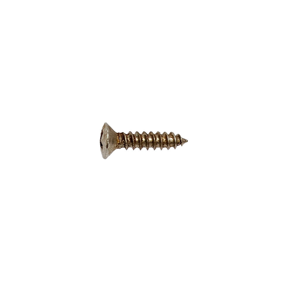 YJB PARTS Relic Screws レリックネジ (インチ)Fタイプピックガード用 12本入り (メール便対応)の画像2