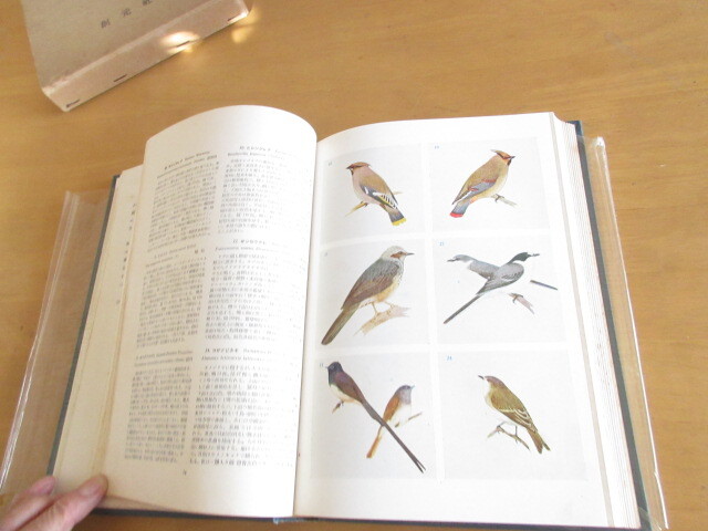  новый сборник Япония птицы map мнение земледелие .. внутри рисовое поле Kiyoshi ... изначальный фирма . есть Showa 28 год 9 месяц A4 версия большой книга