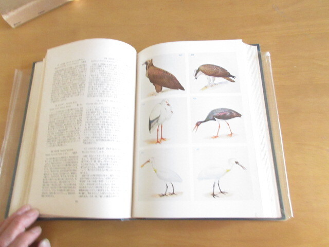  новый сборник Япония птицы map мнение земледелие .. внутри рисовое поле Kiyoshi ... изначальный фирма . есть Showa 28 год 9 месяц A4 версия большой книга