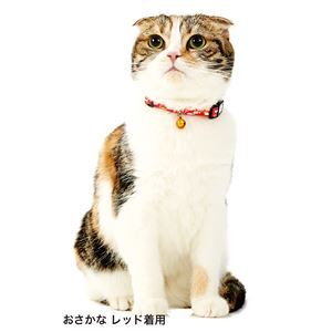 【新品】（まとめ）Anycat カラー おさかな ブルー【×3セット】 (猫用品/首輪)_画像3