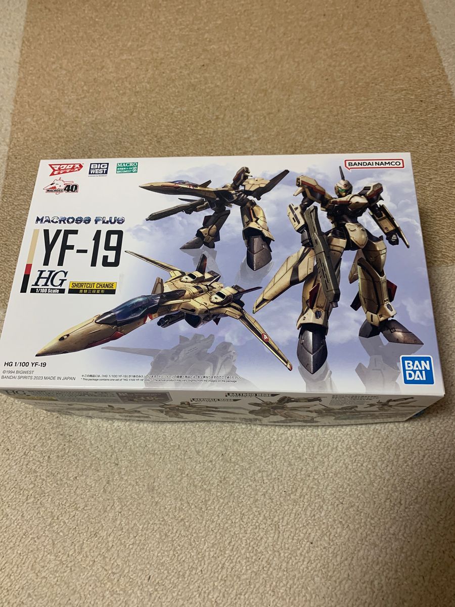 HG YF-19