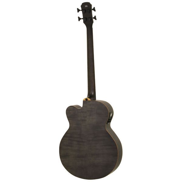 *ARIA Aria FEB-F2/FL STBK Stained Black electric acoustic bass case attaching * new goods including carriage 
