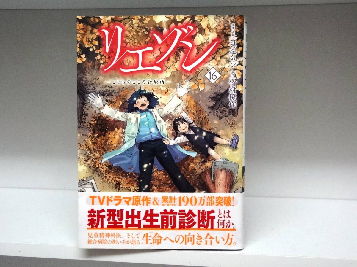 良好品☆リエゾン☆全16巻☆全巻ヨンチャン・竹村優作☆13巻と15巻は新品本_画像3