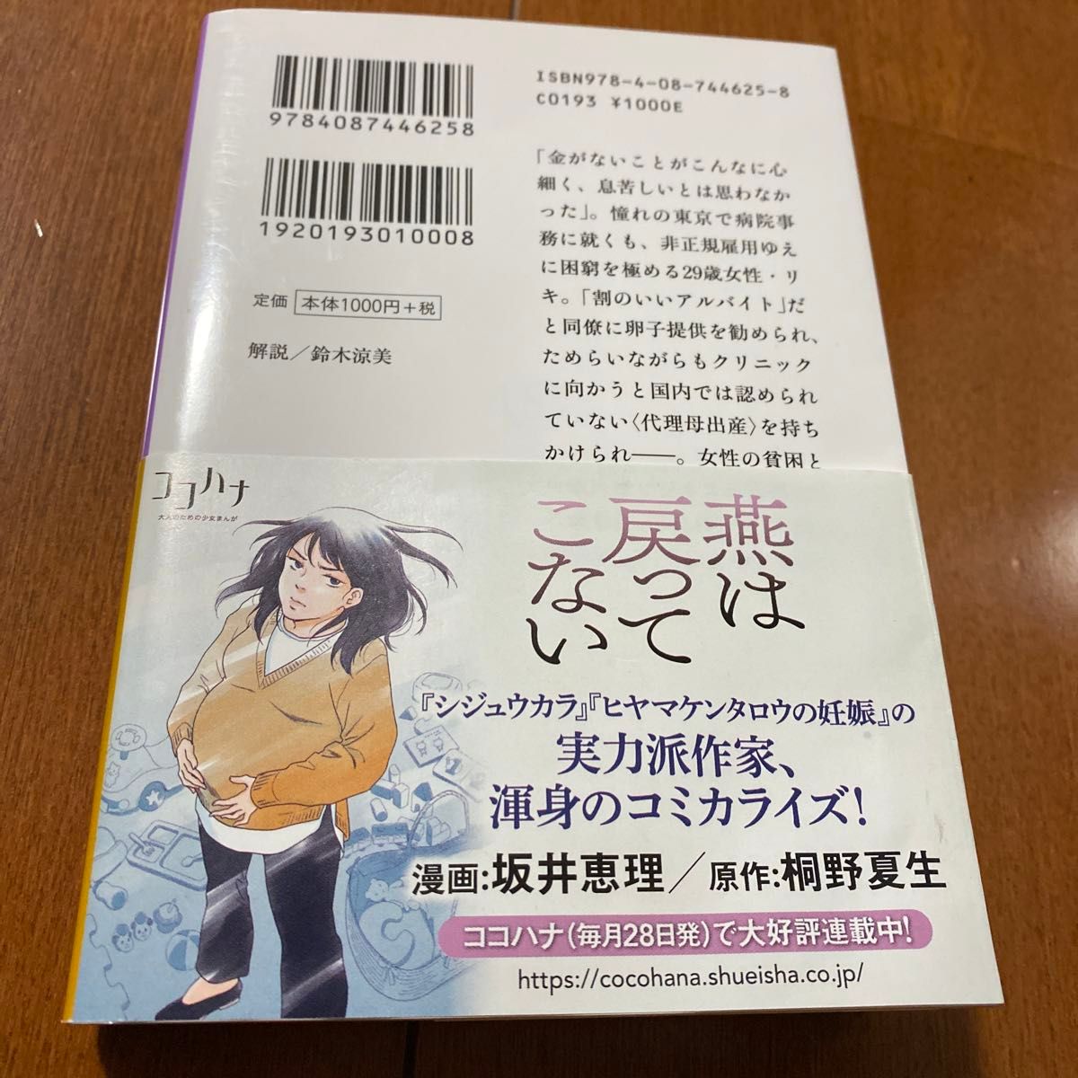 燕は戻ってこない （集英社文庫　き１６－６） 桐野夏生／著