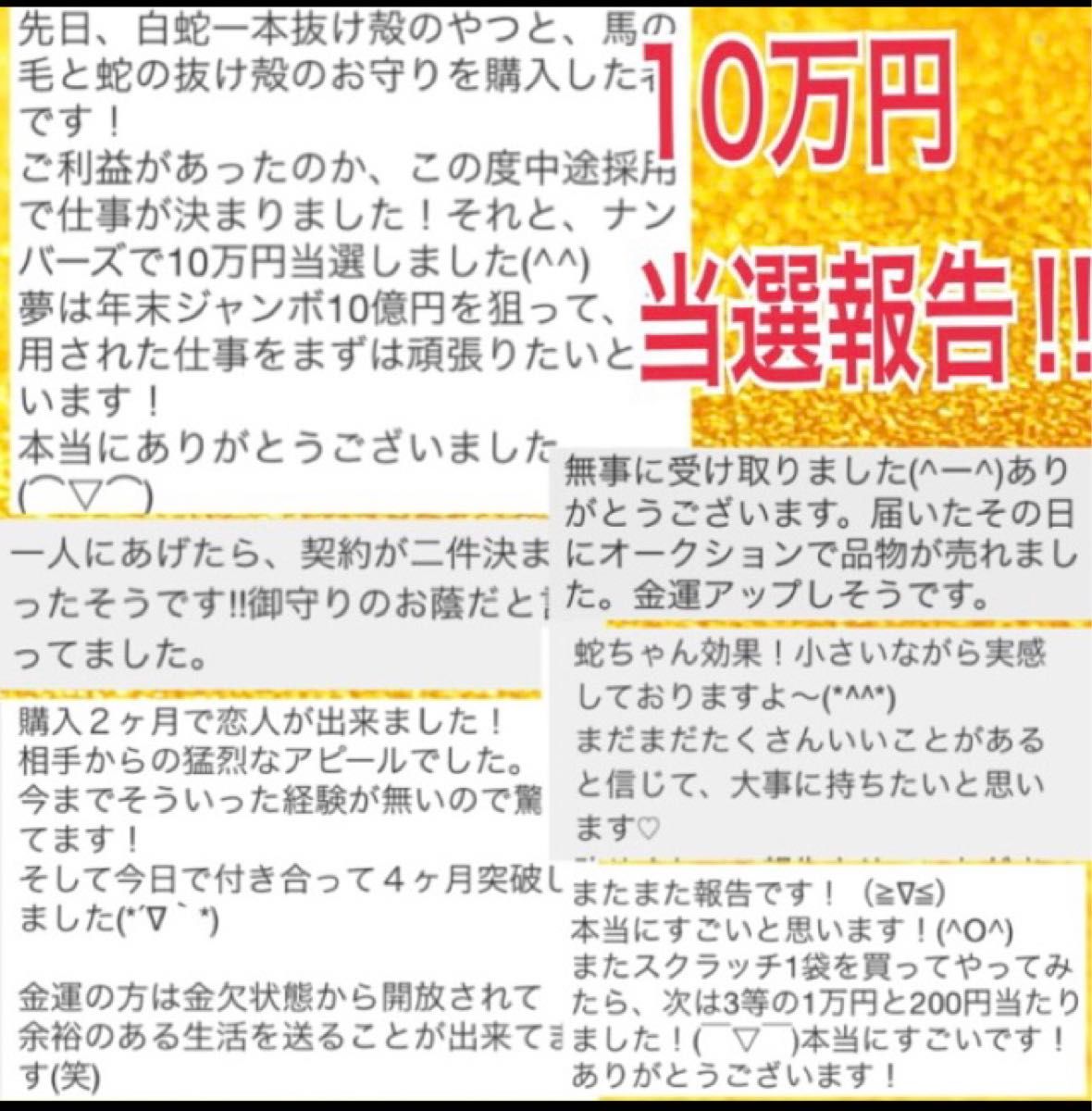 白蛇の抜け殻＆馬のたてがみ 入りお守り☆ 台紙ありタイプ