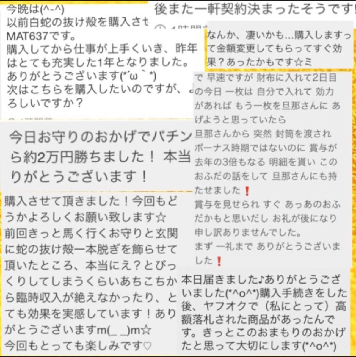 帯封片面タイプ最強★トリプル金運 お守り白蛇の抜け殻＆100万円の帯封&馬のたてがみ