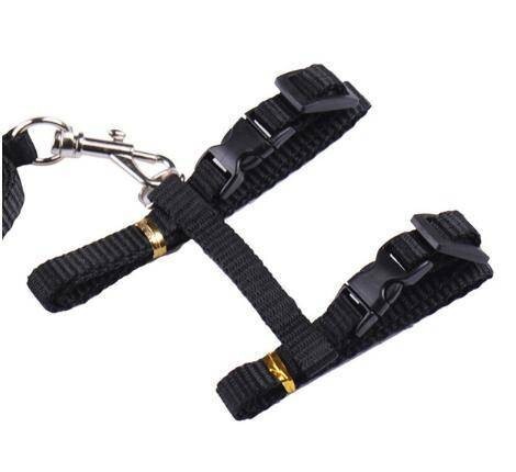  Lead Harness кошка кошка для Harness черный красный . прогулка шея. плата снижение 