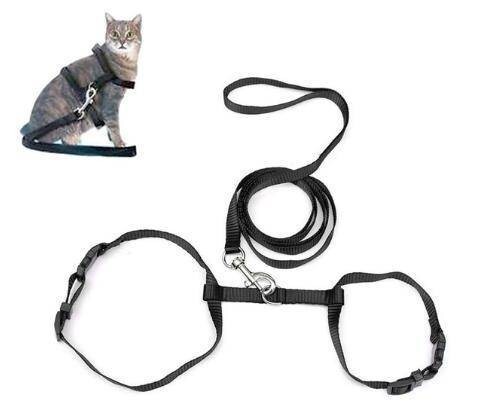 Lead Harness cat cat for Harness black red . walk neck. charge decrease 