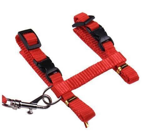  Lead Harness кошка кошка для Harness черный красный . прогулка шея. плата снижение 