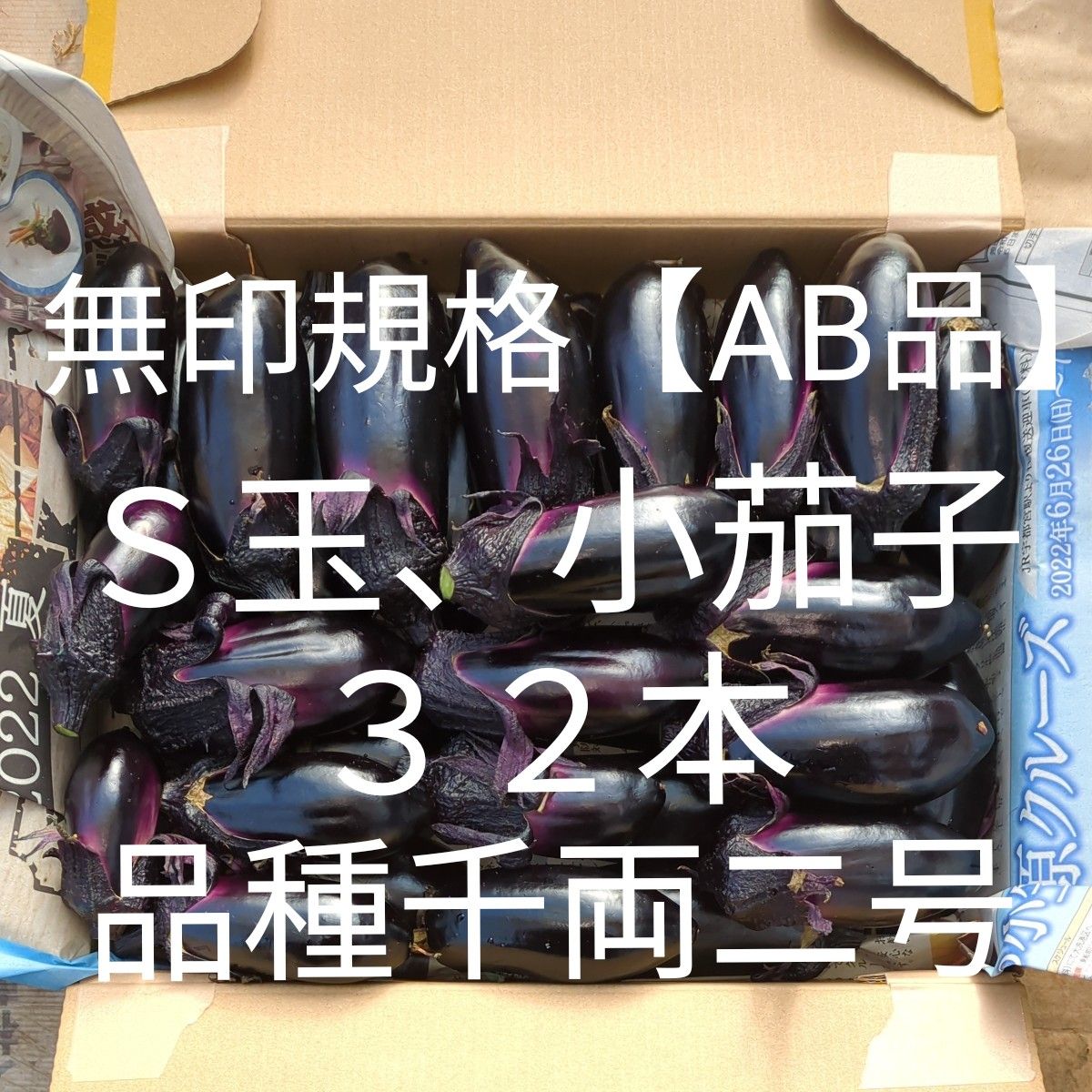 朝採り野菜　千両二号　無印規格【AB品】Ｓ玉、小茄子３２本