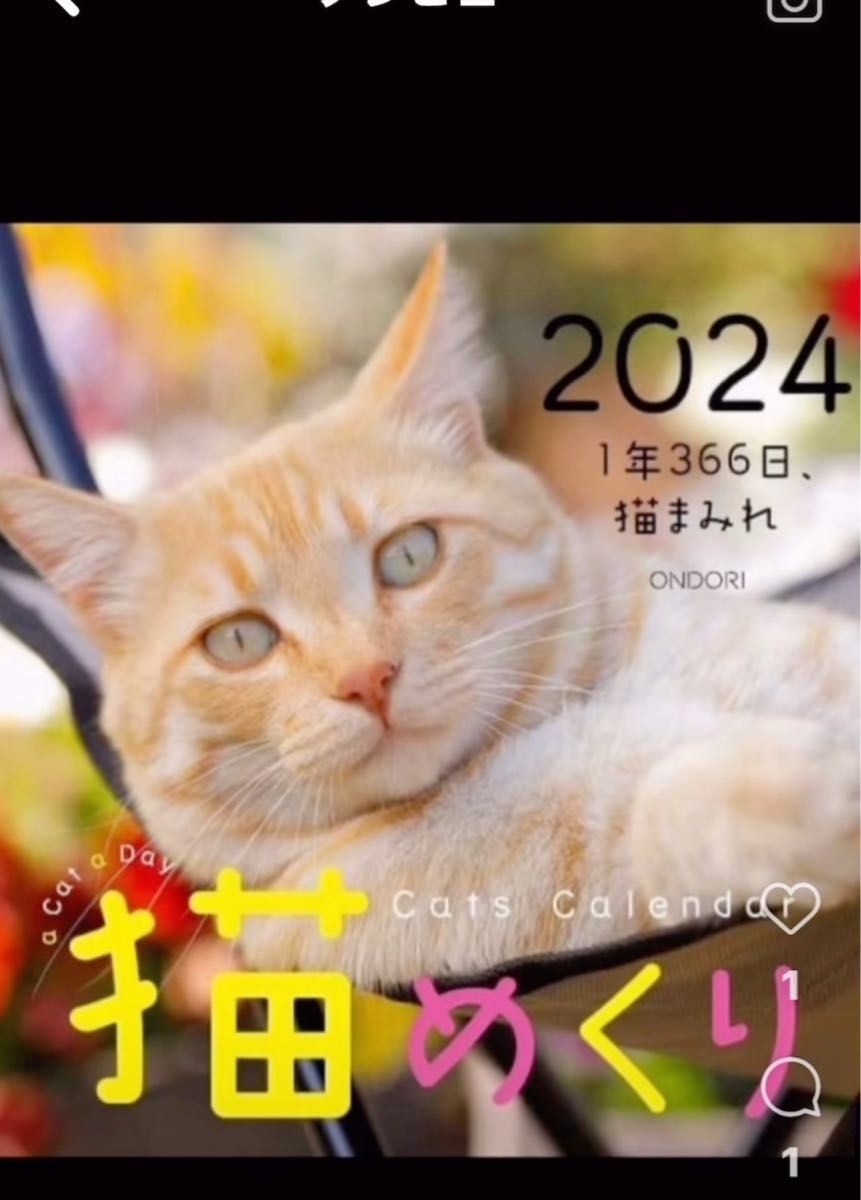 最安値！　早い者勝ち！　猫めくり　猫まみれ　2024日めくりカレンダー　台座付き